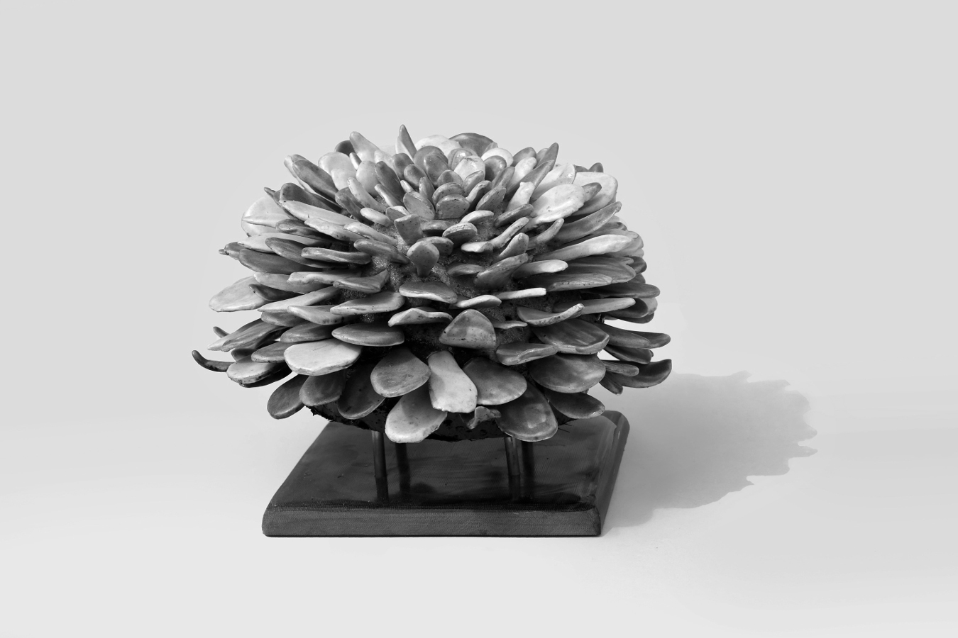 Florence Corbi - Sculpture "Succulente" - Porcelaine et résine